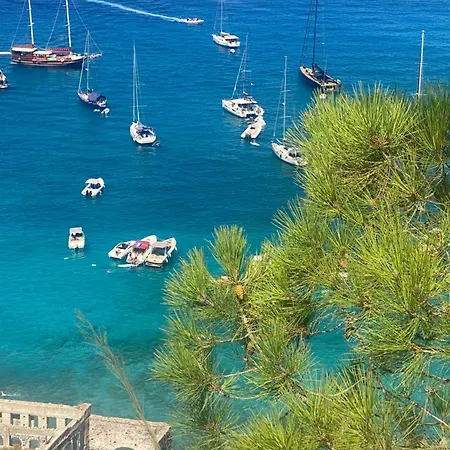 Διαμέρισμα Centro Storico 5 Mins From Port Casa Celeste