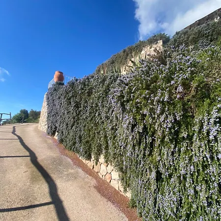 Appartement Centro Storico 5 Mins From Port Casa Celeste