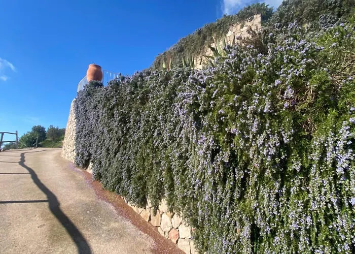 아파트 Centro Storico 5 Mins From Port Casa Celeste